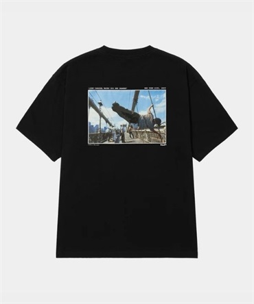 BLACK / M  の画像
